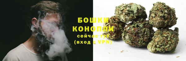 прущие крисы Белокуриха