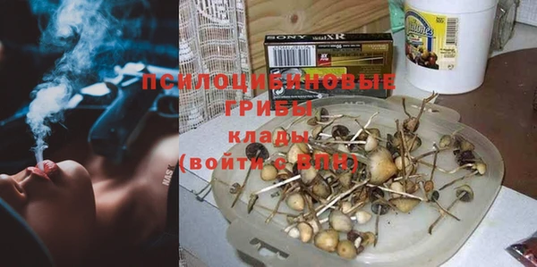 прущие крисы Белокуриха