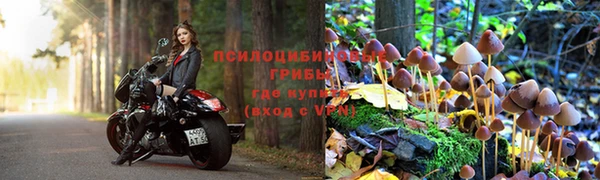 прущие крисы Белокуриха