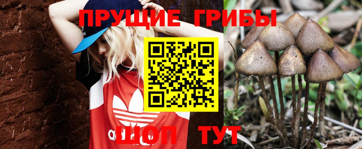 Галлюциногенные грибы мухоморы  Вход с VPN  Борзя 